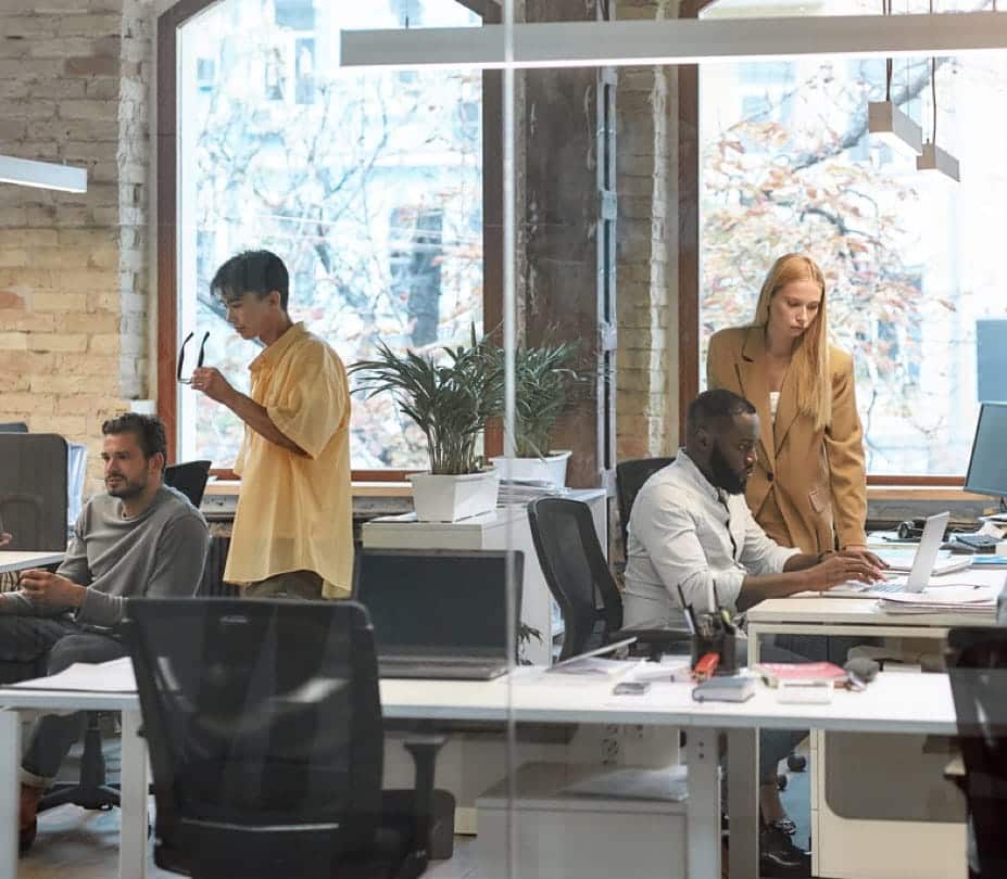 Business colleagues working together on a project